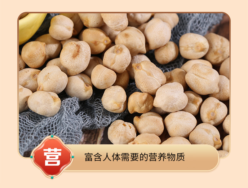 Roasted Chickpeas Ying Zui Dou Cicer arietinum Cooked Whole Beans for Soy Milk Grinding and Baking Bulk 25kg Bag in use