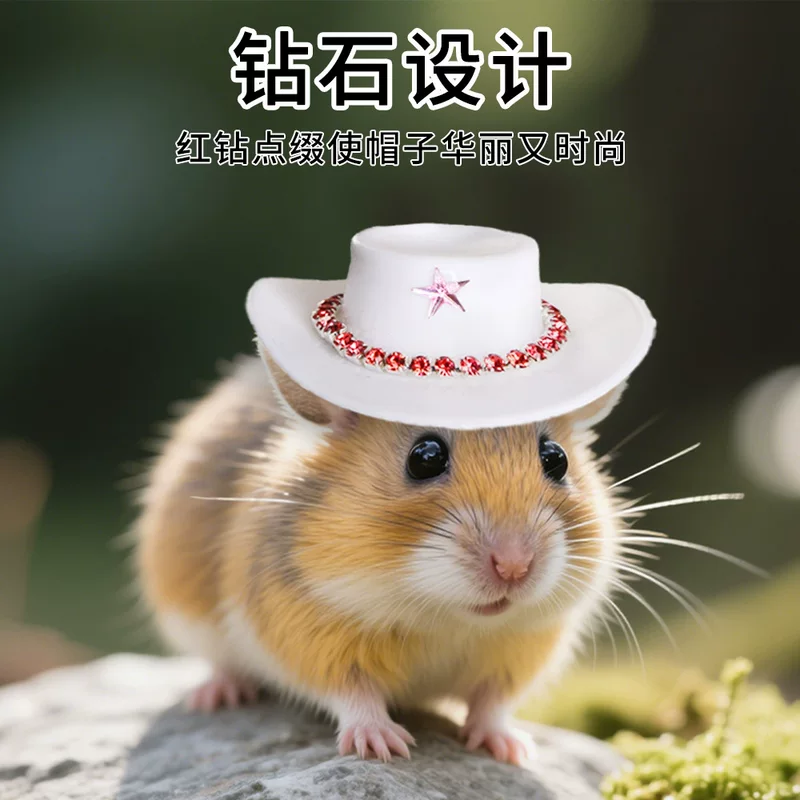 Denim hat, Amazon, halloween, dress up
