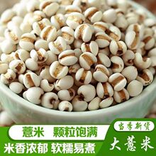 ����޲����޲������؛����ȿɴ���ඹ�t������s�Z�ּZ��