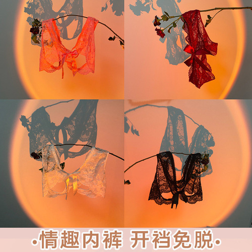 Dan Jiao Xiyun sexy lingerie sexy open crotch free panties lace print see-through women's briefs