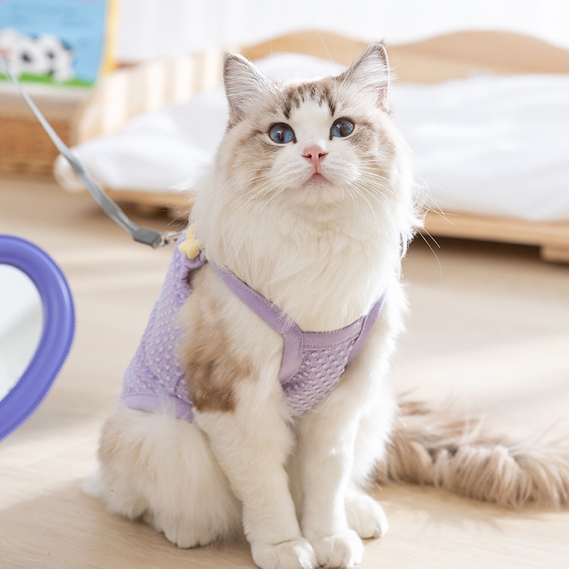 Gato primavera y verano dos pies versión coreana fresca y tridimensional de la correa de la pequeña flor Ropa de gato para perros pequeños y medianos