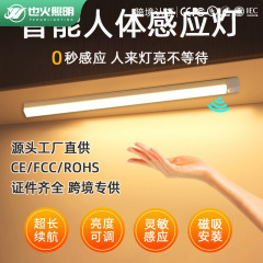 跨境led智能人体感应灯充电磁吸衣柜卧室照明台灯小夜灯氛围灯带