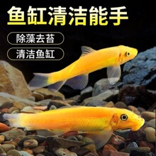 ��̦���~��̦������̦�����~�^�p�Ꭷ�~����ˮ����w�Ꭷ�~����