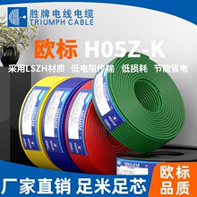 胜牌 欧标线H05Z-K 耐磨阻燃LSZH护套 电器内部控制用线 90℃耐温