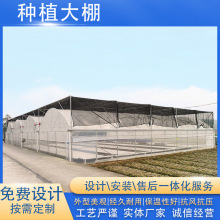 �������P�o�����Nֲ���ش�����B�����Ҵ��｛���������^��