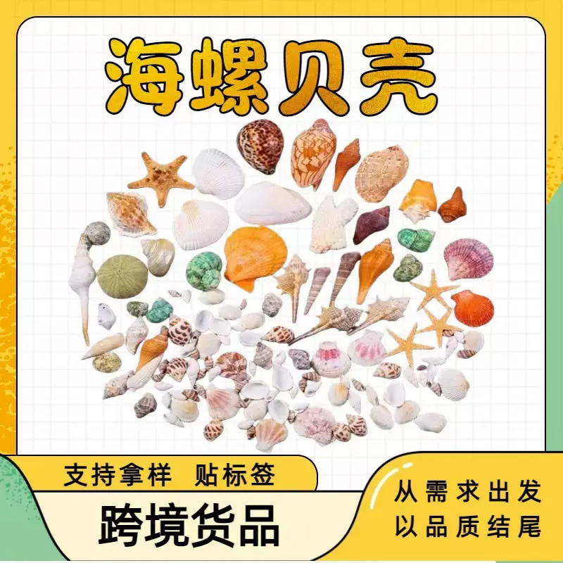 天然贝壳无孔小海螺盒装 diy水族箱鱼缸造景装饰品定制手工材料包