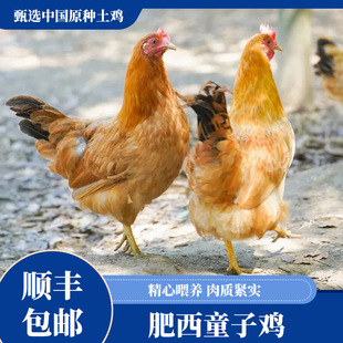 ���rɭ����ͯ���u����ɢ�B���x���u�������п��ƌ���0����0ș��