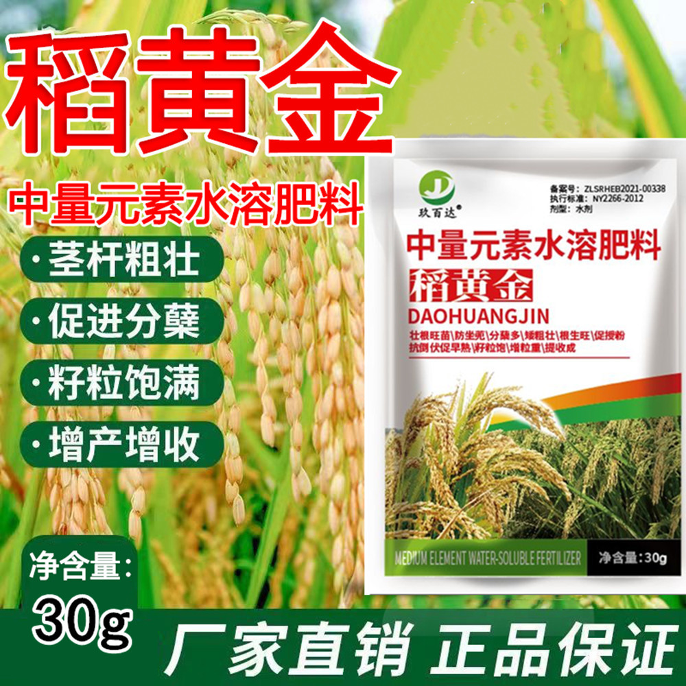 Phân bón đặc biệt cho lúa, chất tăng cường cây con, làm ra cành và làm đầy lúa, thuốc tăng năng suất vàng, phân bón hữu cơ hòa tan trong nước, phân bón không tổng hợp, phân bón lá