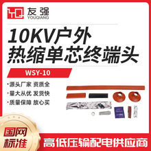 10KV߉sK^WSY-10/1.1-1.2-1.3-1.4sо|