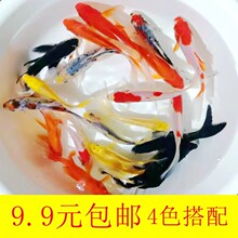 �^�p�~С�t�ݽ��~���B��ˮ�^�p���~���wС���~����~����w����~