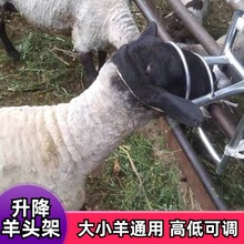 羊头固定架结实加粗羊头架子可调升降控制固定电动剪推毛打针输