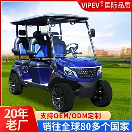 电动观光车;高尔夫球车;其他电动车