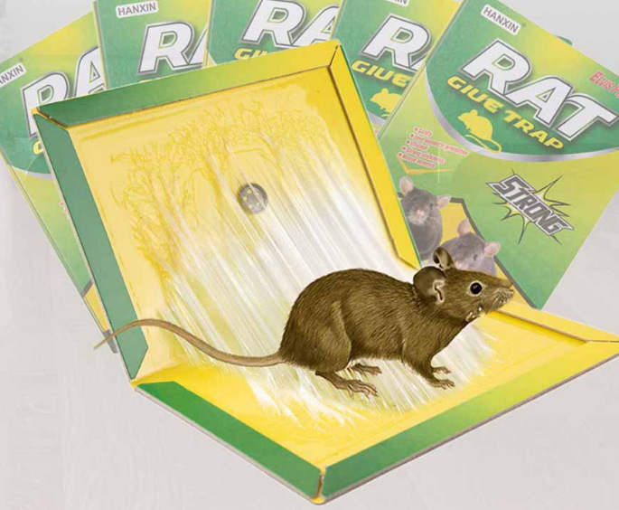 微信截图_20221209203753