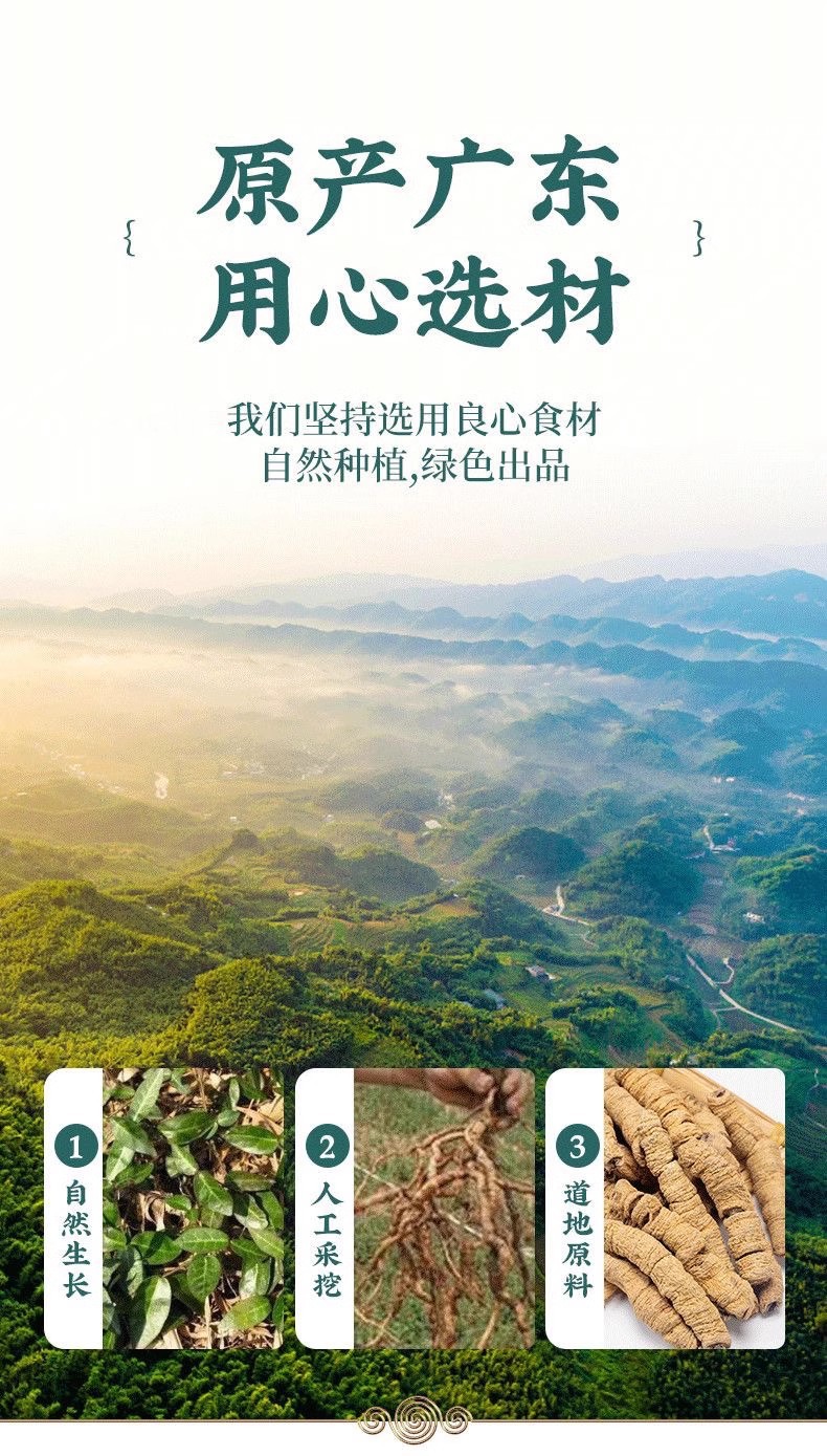 Core-Removed Morinda Root 500g Ba Ji Tian Dried Herbal Slices for Wine Infusion and Decoction quality and texture