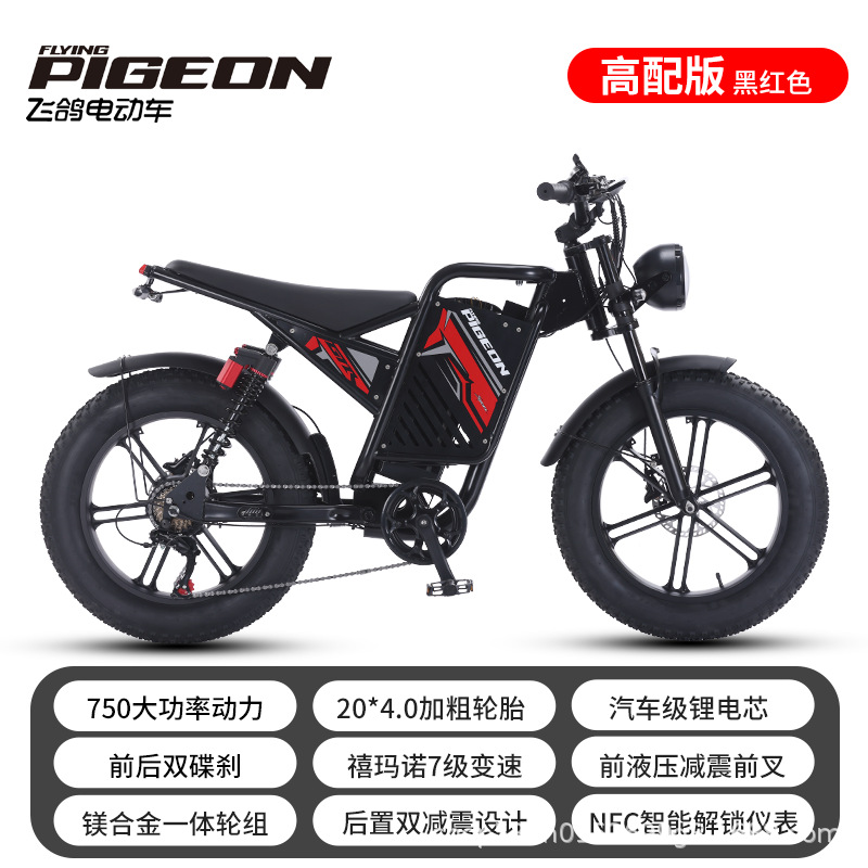Bicicleta eléctrica de neumáticos anchos bicicletas eléctricas EBiK motor eléctrico de doble amortiguación bicicletas eléctricas de doble tracción
