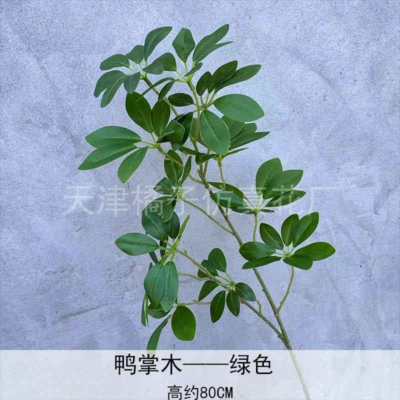 Flores de boda de alta calidad de flores de madera verde de bambú y lirio de pino masson de alta calidad