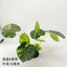 仿真植物墙配草塑料花盆栽水草类植物园林工程造景假花假草插件