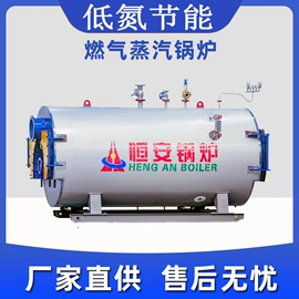 燃气锅炉;燃煤锅炉;电热锅炉