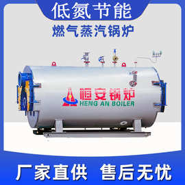 太康燃气锅炉加工化工设备工业蒸汽采暖炉节能高效液化气冷凝式