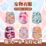 热销金毛卡通宠物大型犬