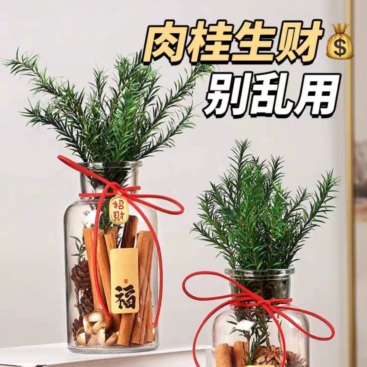 Корица, чтобы заработать деньги, стеклянная бутылка, ваза, чтобы сделать удачу