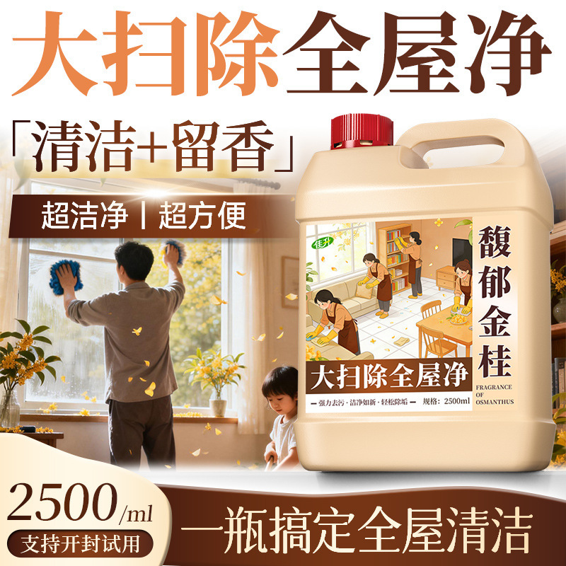 All-Purpose Cleaning Agent for House-Wide Cleaning, Powerful Stain Remover for Household Cleaning, Special Household Foam Cleaner