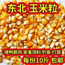 25�����~�������u����������10ᄾ�����������Z�¼Z�Zι�|����