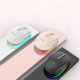 Tiger cat wireless bluetooth dual-mode mouse charging RGB luminous mute office engineering mouse in stock gift customization