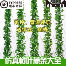 仿真假藤条花装饰树叶电线美化空调暖气管道水管遮挡室内塑料