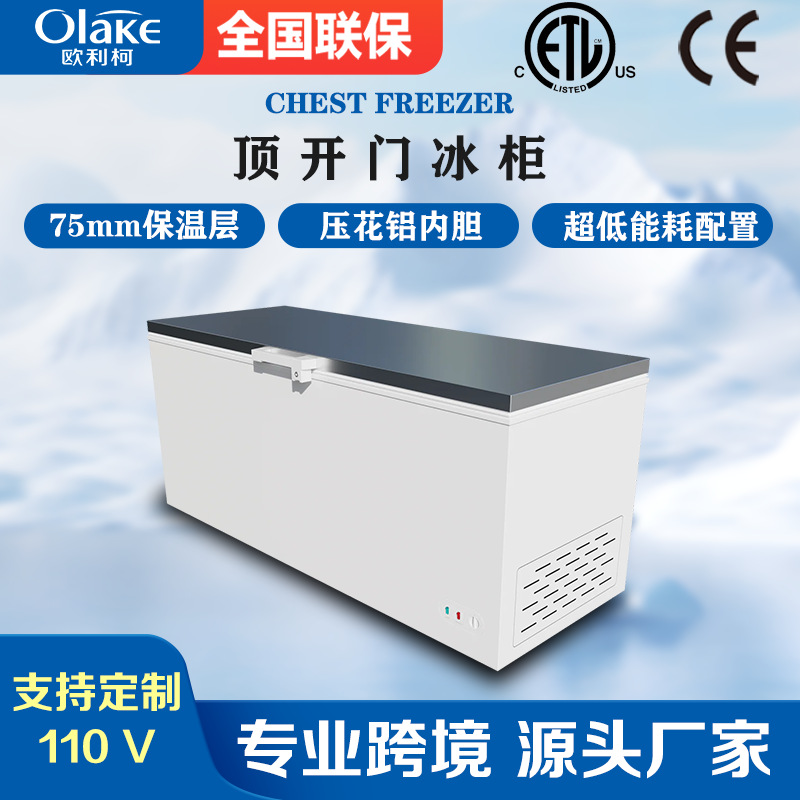 Commercial Large-Capacity Storage Freezer Top-Opening Horizontal Freezer Quick-Freezing Cabinet Export Model Ce/Etl Certified Can Be Customized