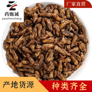 ���Q����ș�����l ���x�Ƀ��oѬ��o�s�| Դ�^���S ����r��