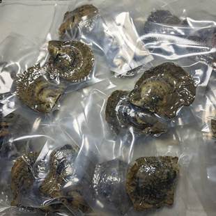 һ��һ�� ��ˮ����6-7mm ���Q����ؐ ���ں��� ��հ��b ����С��