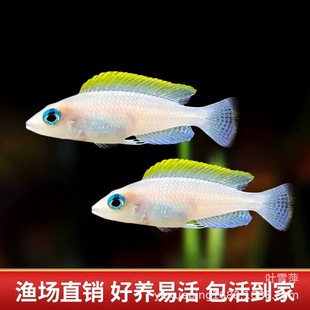 �S�������B���������Ꭷ�^�p�~��P�P���S����ؐ��w̹��С���~