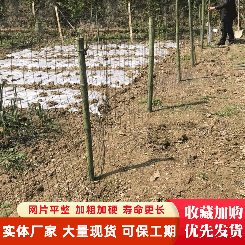 批发果园菜地铁丝防护网养殖网鱼塘隔离围栏网卷网圈地包塑荷兰网