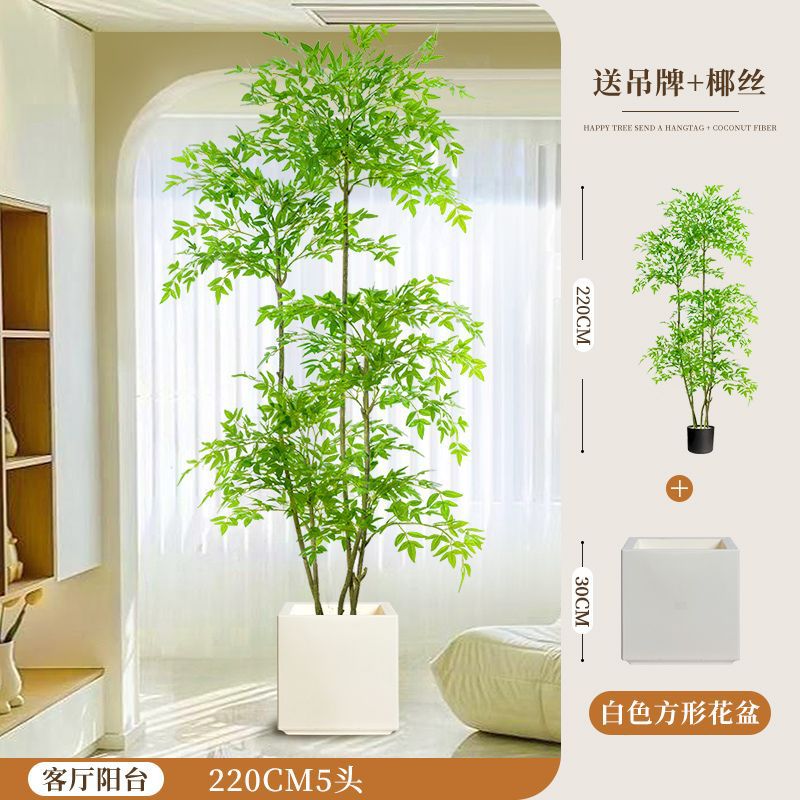 [핫스타일 업그레이드] 200CM-5 남방대나무-화이트 사각화분+브라운실크+태그