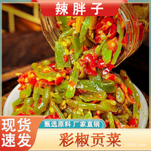 湖南产彩椒贡菜下饭菜瓶装即食开胃咸菜酱菜榨菜香辣罐装脆爽贡菜