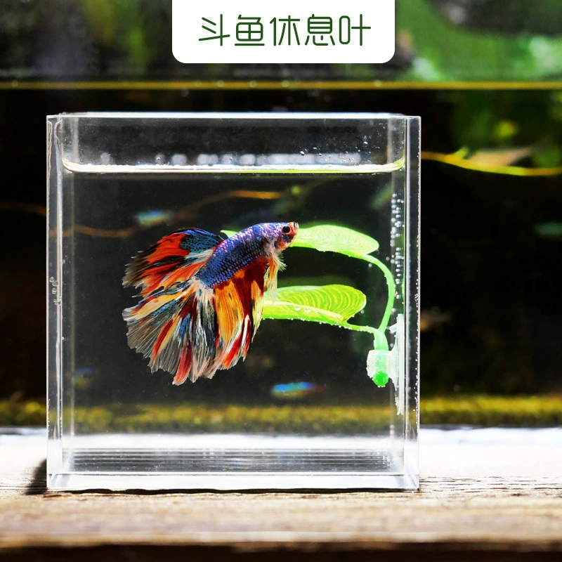 Decorative Aquarium Leaf (Siyuan) — Artificial Betta Rest Leaf, 6.5 cm, OPP Pack Options