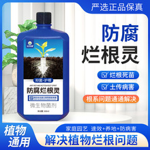 艾尚棵防腐烂根灵500ml 根腐病烂根病浇水引起的立枯病植物急救液