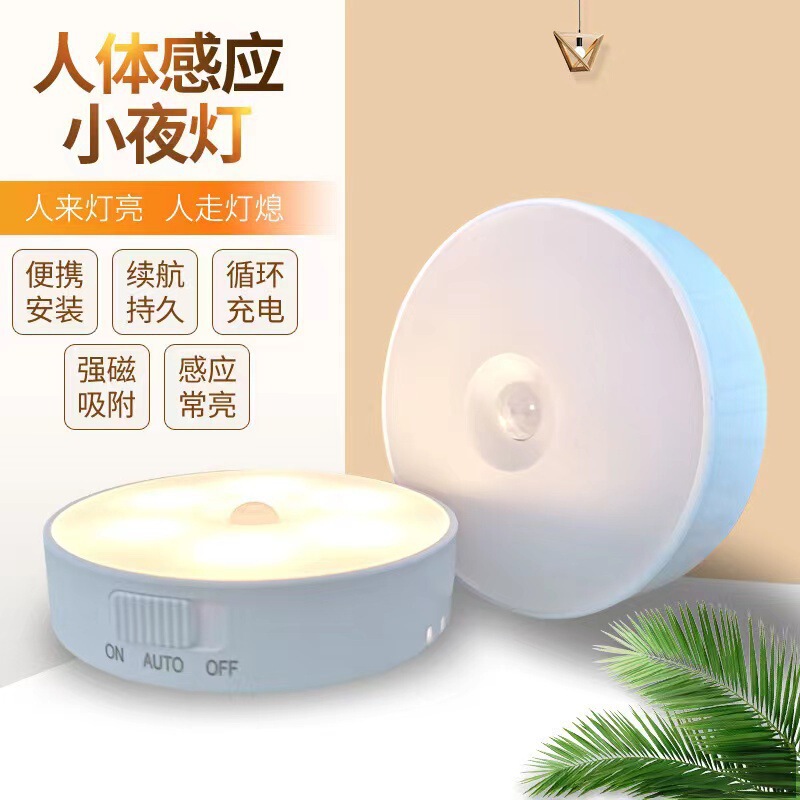 Cabinet Light-Emitting USB Sensor Night Light, Rechargeable Model, Bedroom Wardrobe Light-Controlled Human Body Sensor Light That Turns on When Someone Approaches