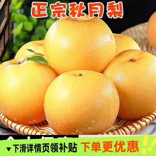 ���������ѩ�����rˮ��5�����rˮ������ԭ�a�جFժ�l؛������]