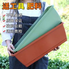 Rectangular Planter Balcony Indoor Home Use Planting Box Vegetable Garden Thick Super Plastic Holon Long Rectangular Bar Extended Version