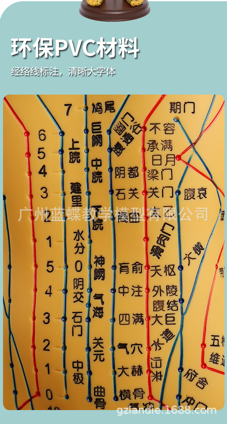 5262cm针灸人_05