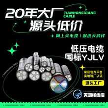 �������z���̌���ܛ��| �͉��XоYJLV3*16+1*10���Ҙ�׼���ȸ�