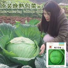 ƽ˷N챡~{ͺ߲˴^˱ɏӰ