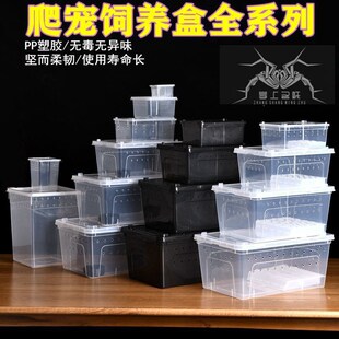 Professional climbing pet breeding box reptile scum box large, medium and small tree habitat box small square box Spider double open anti-escape