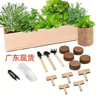 �羳���R�d�҃ȷNֲ�׼�����ľ�|���胺ͯ���˷Nֲ���ܲ�ș���b