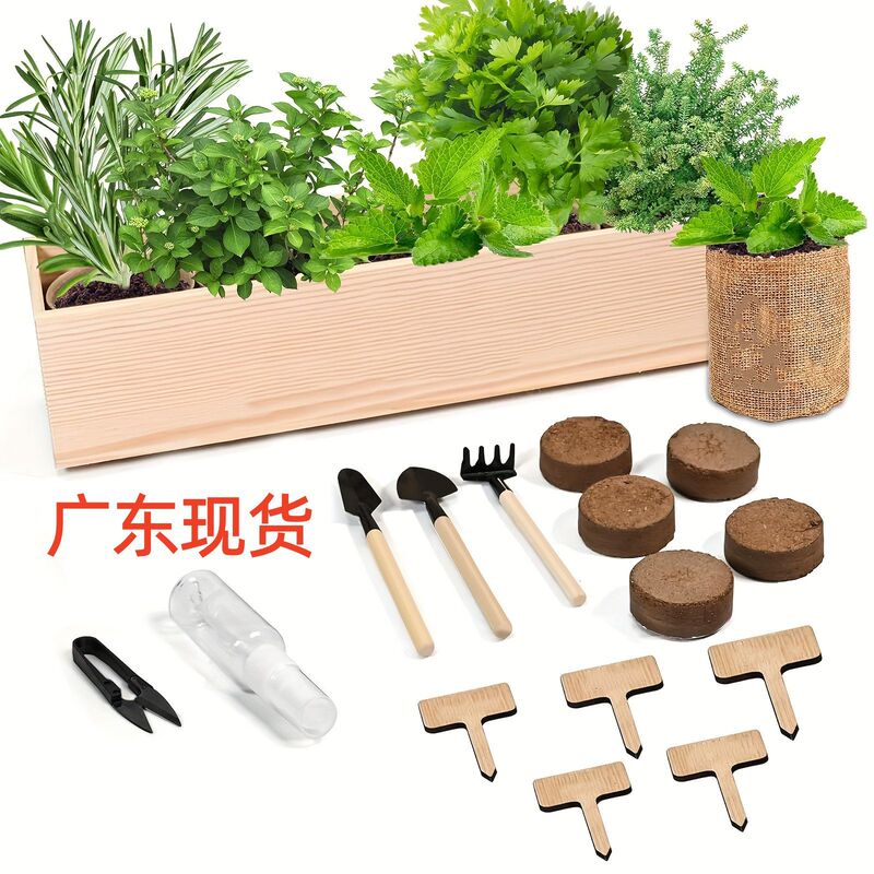 Cross Border Amazon Indoor Planting Kit Creative Wooden Flower Pot Children Adult Planting Flower Herb suit