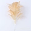 Champagne color