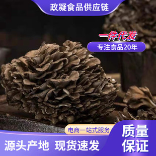 ��؛�cԪ�Ҙ仨��؛�o��ɳ�Ҙ乽���ײ�ջ�����Ģ���r�Ҙ仨���l