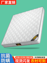 ���ɴ��|�F�����s����Ҭ�����z��䓪������ɉ|�����ⷿ20cmܛӲ�|